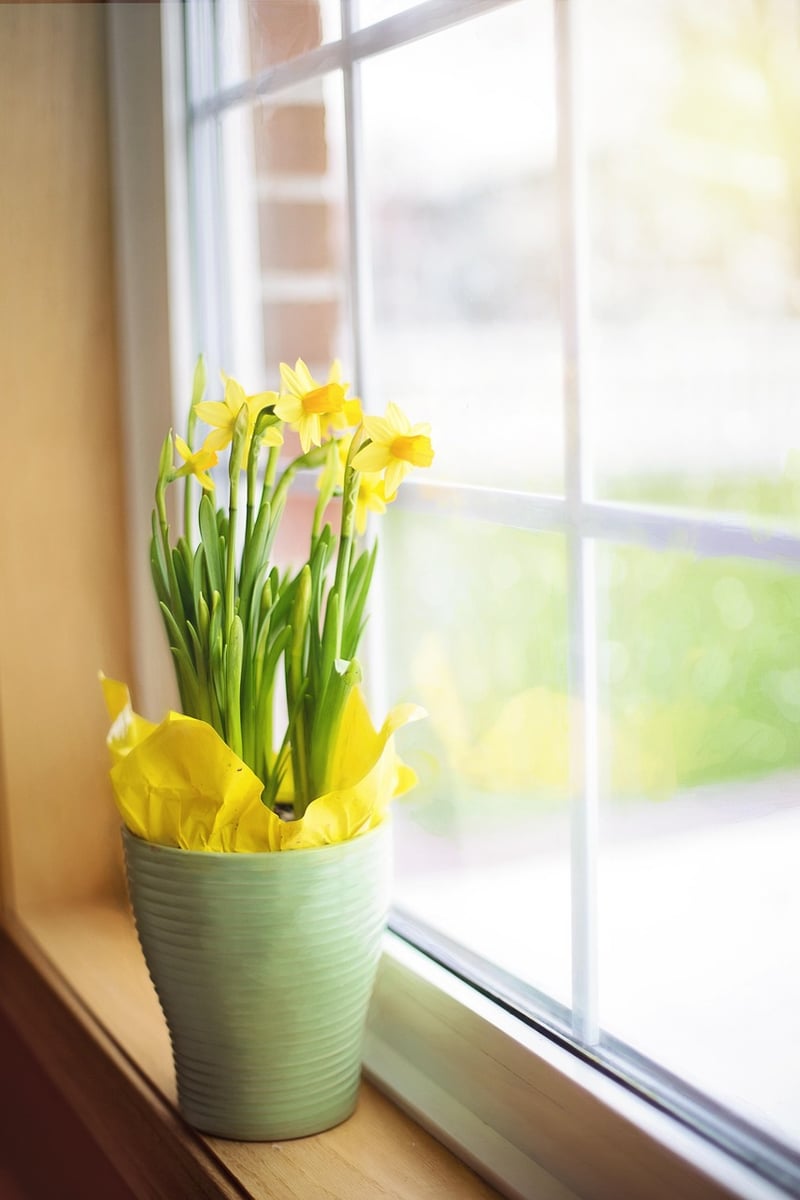 Small-scale Gardening