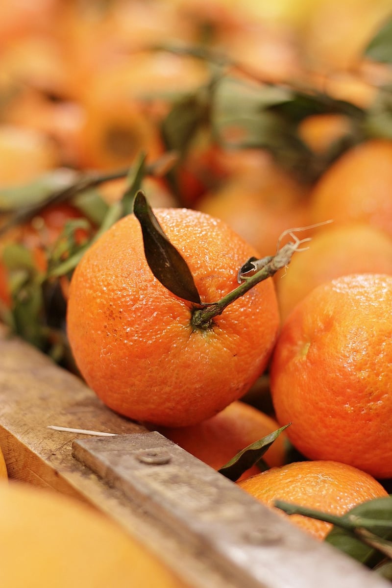 Orange Tree