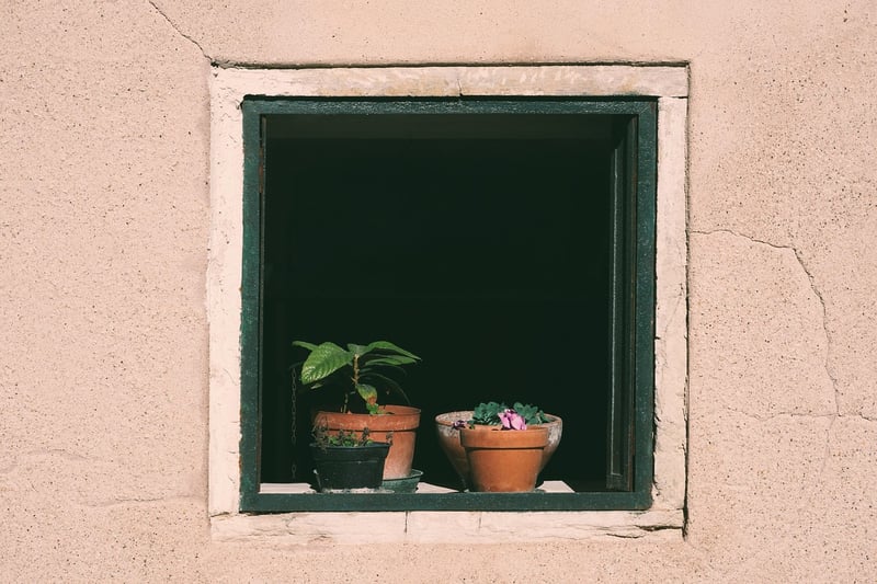 Windowsill Gardening